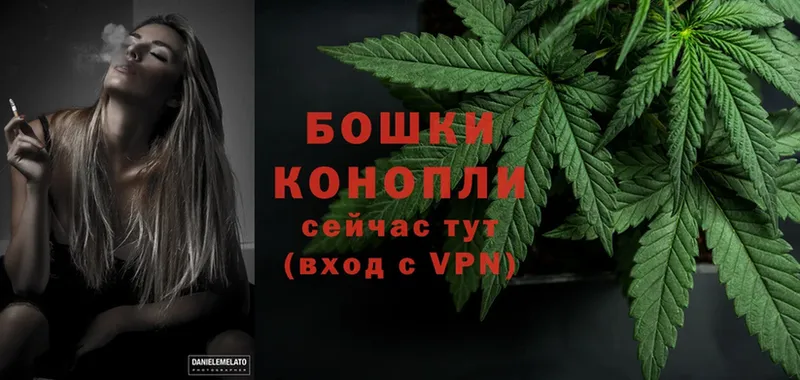 Шишки марихуана SATIVA & INDICA  продажа наркотиков  Красноперекопск 